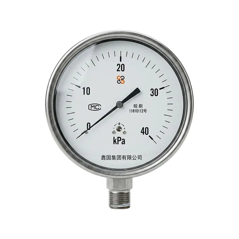 Đồng hồ đo áp suất hộp màng thép không gỉ XG/YE-100B Đồng hồ đo áp suất hộp màng thép không gỉ XG/YE-100B