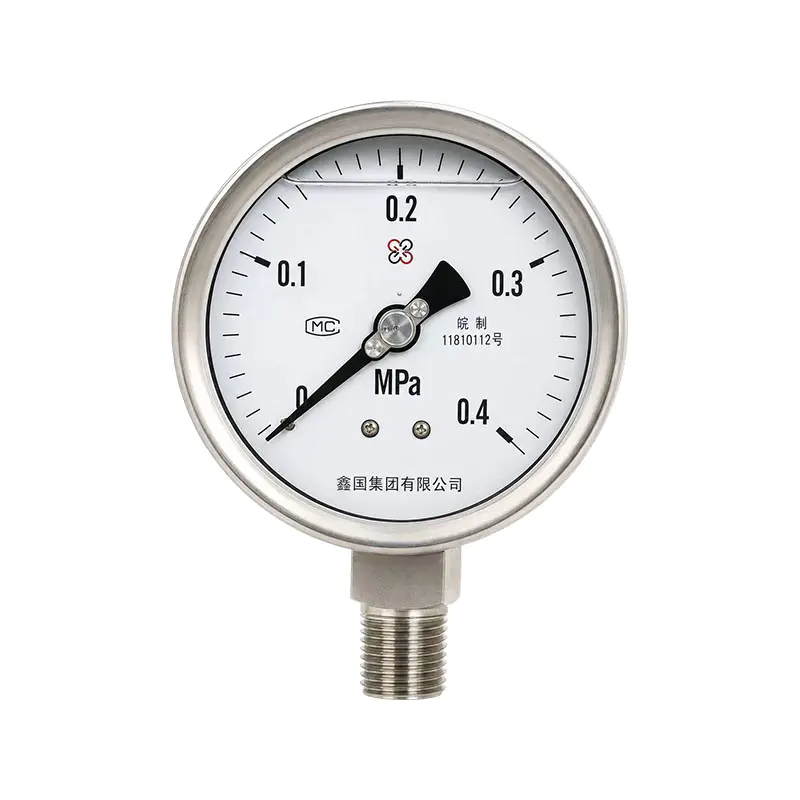 Đồng hồ đo áp suất chống sốc dòng XG/YN (bao gồm dòng B)